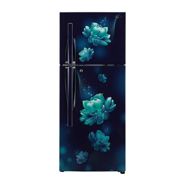 LG Refrigerator 260 Ltr
GLB292RVBN.ABCQ