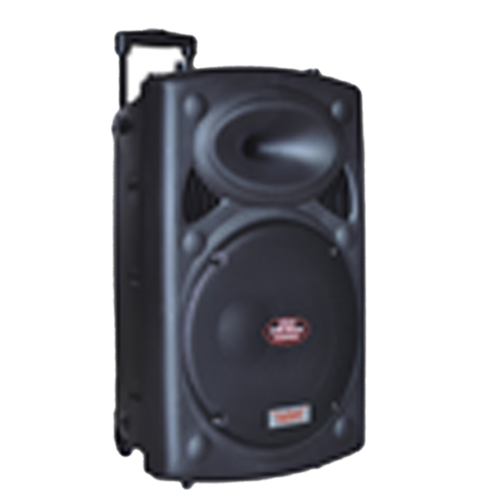 12 Inch Trolley Speaker